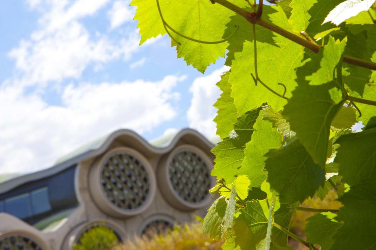 Mastinell Cava & Boutique By Olivia Collection Vilafranca del Penedès